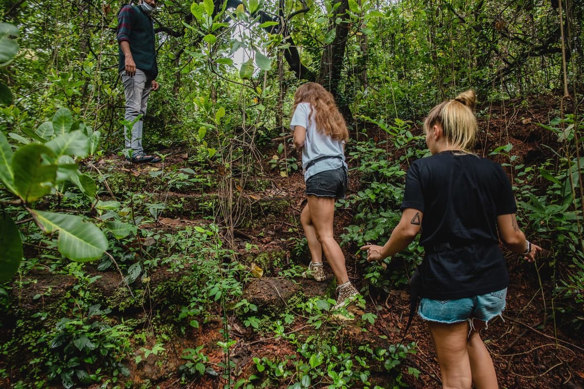 A Nature Trail at Chorao Island view 3