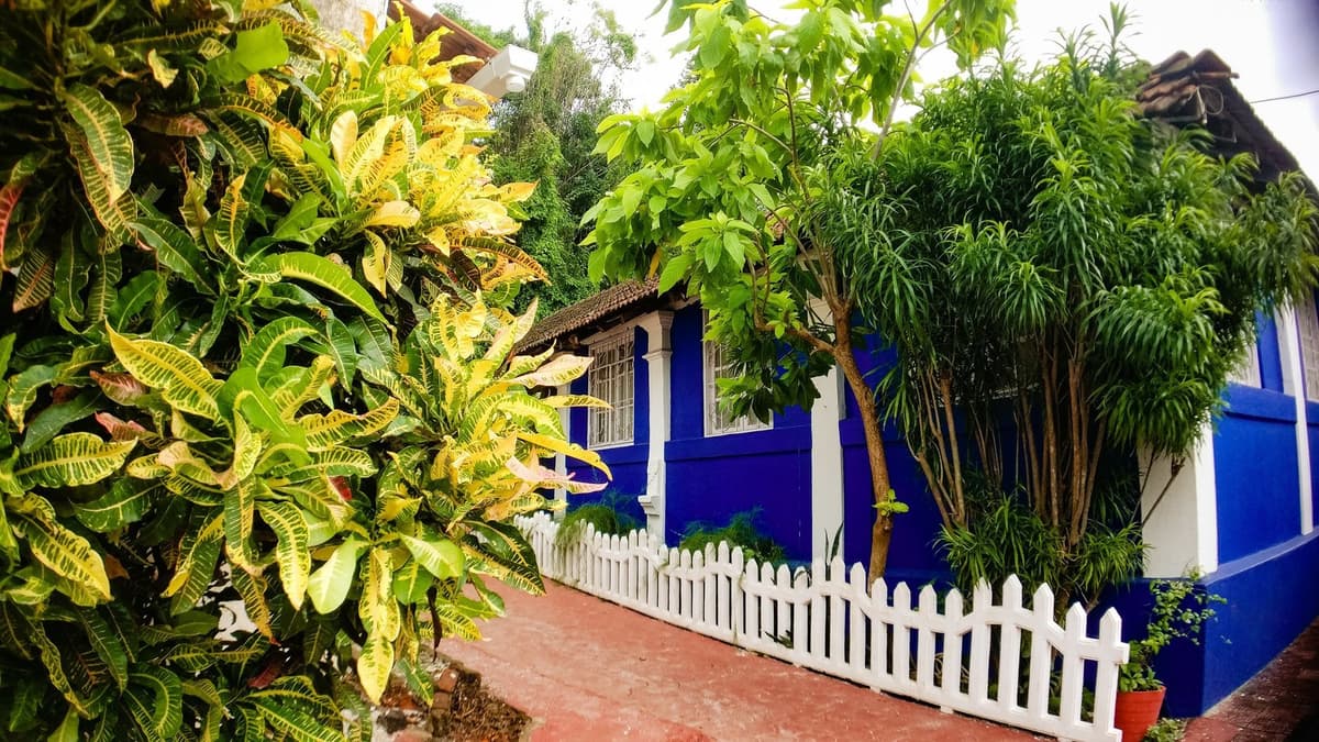 The Latin Quarter Walk at Panjim view 2