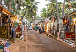 Agonda